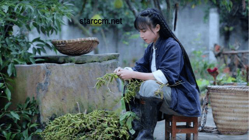 **李子柒手制植物印染长裙出圈：我在手工印染路上的探索与成长**
